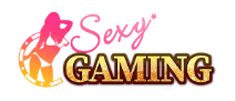Sexy Gaming logo